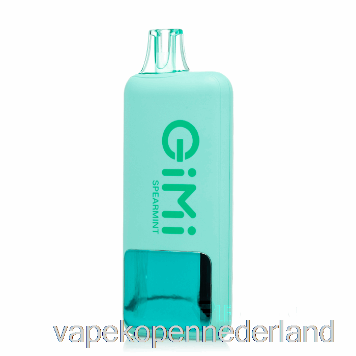 Vape Nederland Flum Gimi 8500 Slimme Wegwerp Groene Munt